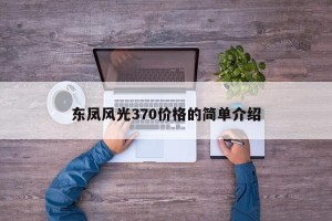 东凤风光370价格的简单介绍