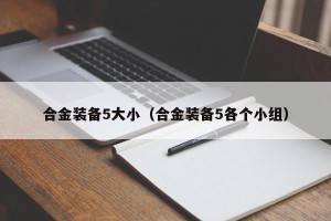 合金装备5大小（合金装备5各个小组）